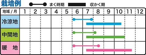 時種|野菜のタネまき時期早見表 